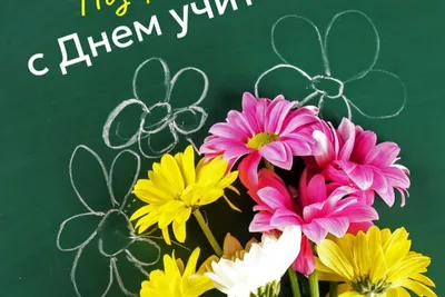 В День учителя с благодарностью!»: в Октябрьском районе стартует уникальный  флешмоб