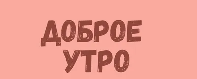 ☀ Доброе утро, друзья! 🎁 Пусть новый день подарит много энергии и  позитива! #утро #Чечерский_вестник.. | ВКонтакте