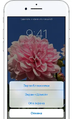 Полный сенсорный ЖК-экран на шасси для iPhone 6, черный, с инструментами,  кнопкой «Домой», внутренними наушниками, фронтальной камерой – лучшие  товары в онлайн-магазине Джум Гик