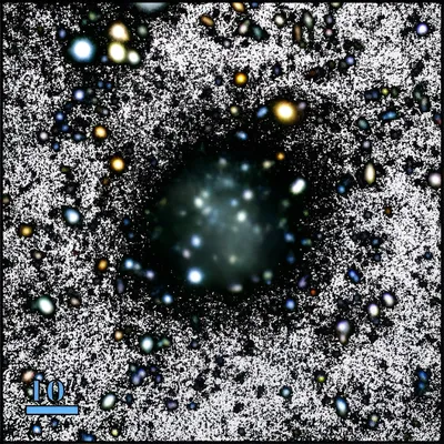 ESA - Euclid's view of spiral galaxy IC 342