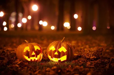 The Origin of Halloween Colors | Blog