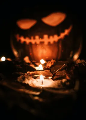 Utah is considering moving Halloween so it stops haunting on school nights  | KUER