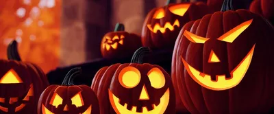Download Halloween Ghost Pumpkin Royalty-Free Stock Illustration Image -  Pixabay
