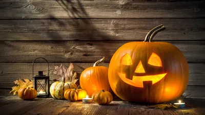The spookiest thing about Halloween? The waste. - Marketplace