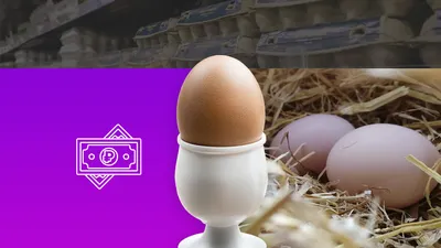 Пасхальные яйца своими руками: 10 идей для поделок - Блог интернет-магазина  \"Мир Вышивки\"