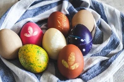 16 хитростей, чтобы яйца на Пасху при покраске без химии не трескались |  ОБЩЕСТВО: События | ОБЩЕСТВО | АиФ Тверь