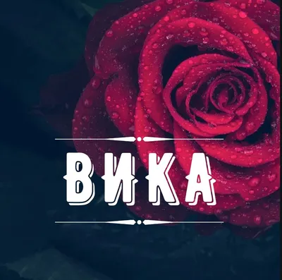 Попади в сказку. Цвета и эстетика имени Вика. | TheDark | Дзен