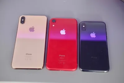 8 Things to Know About the iPhone XR