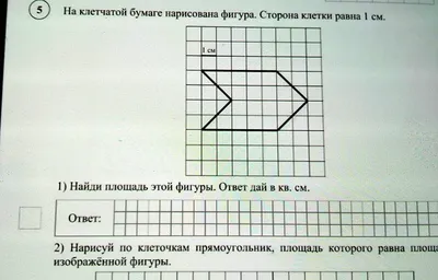 Шаг 1 – Фигуры на клетчатой бумаге. Четырнадцатое занятие, 6 февраля –  Stepik