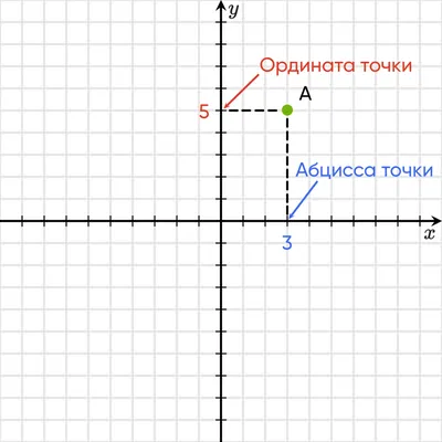 Координаты точки • Образавр