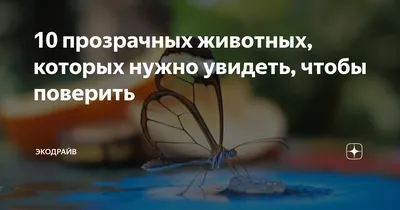 УМЕЛЬЦЫ СОБИРАЮТСЯ В КОЛЛЕКТИВ! * НУЖНЫ НОВЫЕ ТЕХНИЧЕСКИЕ УСЛОВИЯ, В КОТОРЫХ  НЕОБХОДИМО: - Техника - молодёжи 1963-09, страница 19