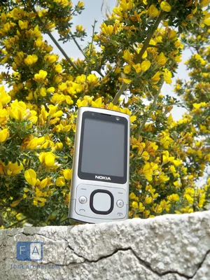 Nokia 6700 classic Gold Edition photo gallery :: GSMchoice.com