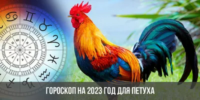 Китайский дизайн Нового Года на год петуха Иллюстрация вектора -  иллюстрации насчитывающей зажим, самомоднейше: 46141005