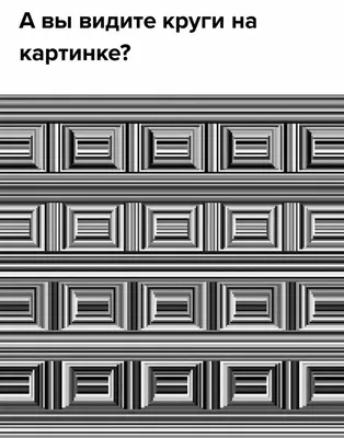 Обман зрения: 20 странных фотографий, которые трудно понять с первого  взгляда - Развлечения