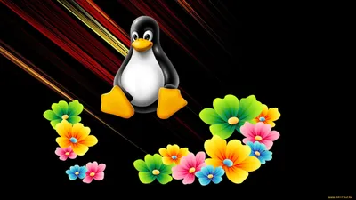 Обои Компьютеры Linux, обои для рабочего стола, фотографии компьютеры,  linux, фон, логотип Обои для рабочего стола, скачать обои картинки заставки  на рабочий стол.