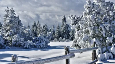 зимний пейзаж обои зимний пейзаж Hd фоны, 28801050 рождественские обои,  зимний пейзаж, 2880x1050 фон картинки и Фото для бесплатной загрузки