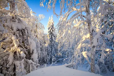 Скачать 3840x2400 зима, дорога, снег, деревья, зимний пейзаж обои, картинки  4k ultra hd 16:10