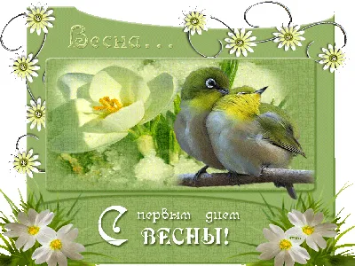 https://bonnyfamilycards.com/cards/vesna/vesna0008.php.html