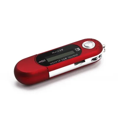 MP3-плеер ZY купить по выгодной цене в интернет-магазине OZON (774001879)