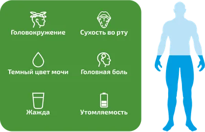 Как преодолеть похмелье и обезвоживание, которое его сопровождает? - ReO -  Вода для медичних цілей