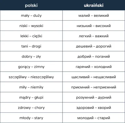 Język polski dla początkujących (tekst po ukraińsku) Польська мова для  початківців