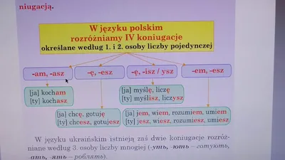 Польська мова з Kleks - 📝 Czas przeszły У попередньому дописі ми  розглянули, як у польській мові утворюється минулий час від більшості  дієслів, проте є ряд дієслів, які мають інше відмінювання (ті,