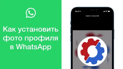 Изображение профиля психологии для WhatsApp Стоковое Фото - изображение  насчитывающей психология, профиль: 122365938