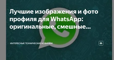 Как продвигать бизнес с WhatsApp: создаем профиль компании и настраиваем  рекламу — Маркетинг на vc.ru