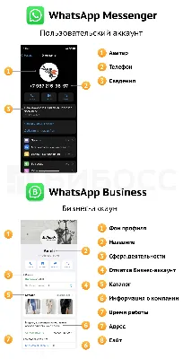 Как пользоваться WhatsApp в режиме инкогнито