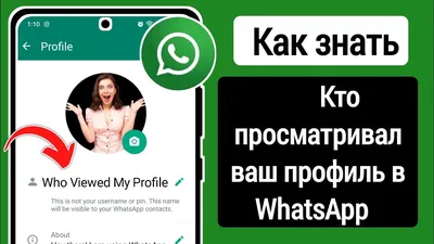 Лучшие изображения и фото профиля для WhatsApp: оригинальные, смешные… |  Интересные Технические Новинки | Дзен