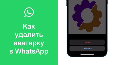 Бизнес-аккаунт WhatsApp: полная инструкция по использованию