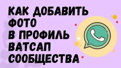 Заполнение профиля WhatsApp Business API