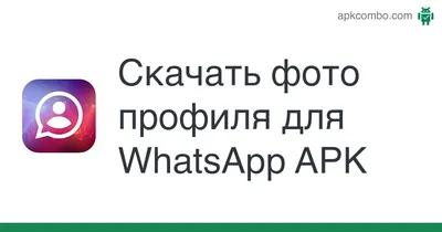 WhatsApp Business: что это и как настроить | Wazzup