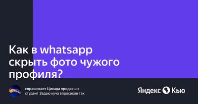 Pact - Переход на бизнес-аккаунт Whatsapp Business и перенос чатов