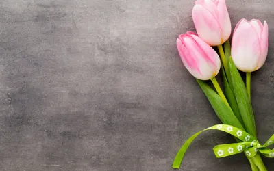 Фон рабочего стола где видно букет, тюльпаны, цветы, весна, ваза, обои на рабочий  стол, bouquet, tulips, flowers, spring, vase, wallpaper