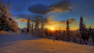 Природа, Зима, Снег - картинка на рабочий стол | Скачать Бесплатно обои
