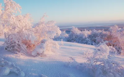 Обои \"Зима\" на рабочий стол, скачать бесплатно лучшие картинки Зима на  заставку ПК (компьютера) | mob.org