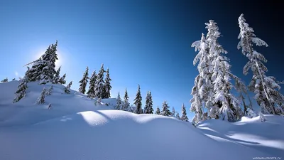 Зима - обои на рабочий стол