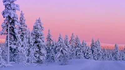 Картинка Зима Природа Времена года 1366x768