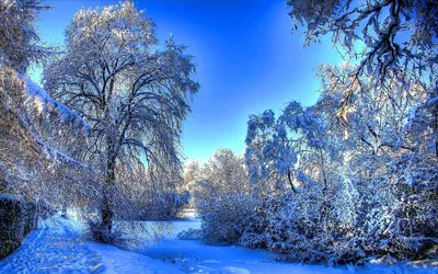Скачать обои и картинки финляндия, зима, закат, водоём, озеро, снег, небо,  рассвет, деревья, природа, пейзаж для рабочего стола в разрешении 1366x768