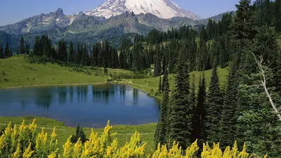 Скачать обои на рабочий стол бесплатно без регистрации в формате 1600x900.  Маленькое озеро. Природа, озеро, лето, трава, деревья, горы, тропинка.