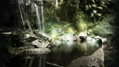 Таинственный лесной рай для стрекозы - Красивые картинки обоев для рабочего  стола