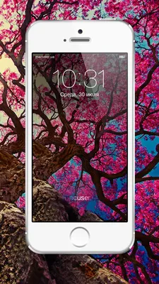 Stunning Free Wallpapers for iPhone 4/4s/5/5c/5s