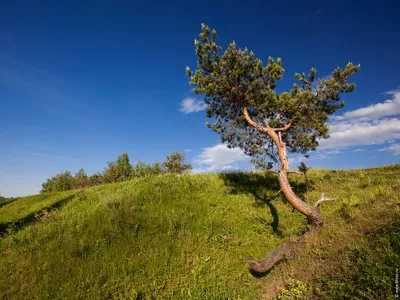 Картинки на рабочий стол большое разрешение фото