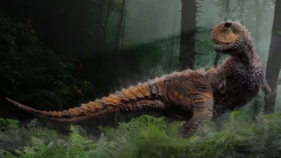 Обои динозавр, трава, деревья, пресмыкающиеся, мезозойская эра картинки на рабочий  стол, фото скачать бесплатно