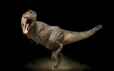 Обои динозавр, край, раздел Фантастика, размер 5120x2880 5k - скачать  бесплатно картинку на рабочий стол и телефон