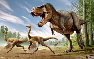 Обои Tyrannosaurus Rex Разное Динозавры, обои для рабочего стола,  фотографии tyrannosaurus, rex, разное, рельефы, статуи, музейные,  экспонаты, поляна, заросли, динозавр Обои для рабочего стола, скачать обои  картинки заставки на рабочий стол.