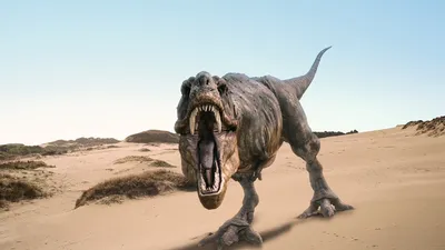 Фото с низким углом динозавра, съедающего динозавра-младенца | Премиум Фото