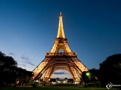 обои : Париж, Франция, Эйфелева башня, ночь 2560x1600 - CoolWallpapers -  1010690 - красивые картинки - WallHere
