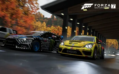Гонки Forza Motorsport 7 обои для рабочего стола, картинки и фото -  RabStol.net